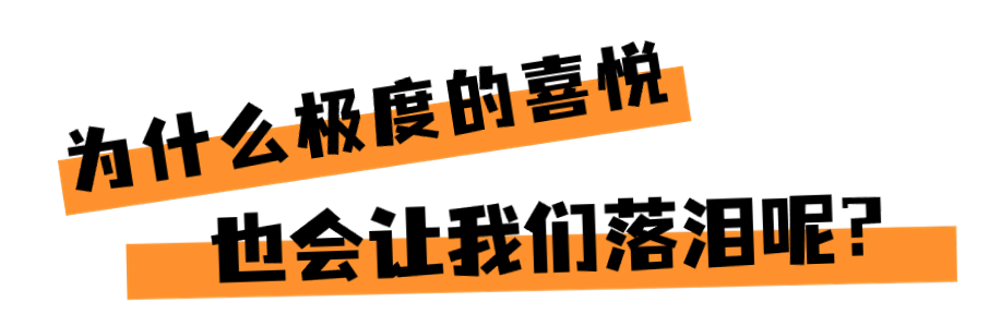222222.png