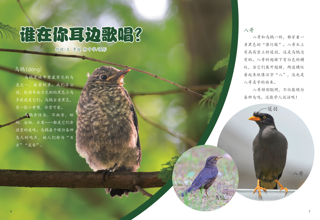 微信图片_20240522103143.png