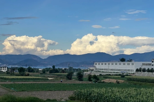 微信截图_20240809111647.png