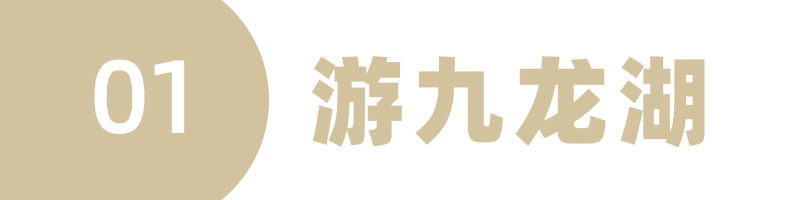九龙湖.png