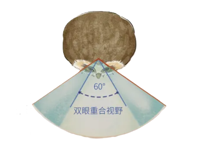 9.png