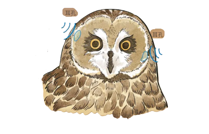 10.png