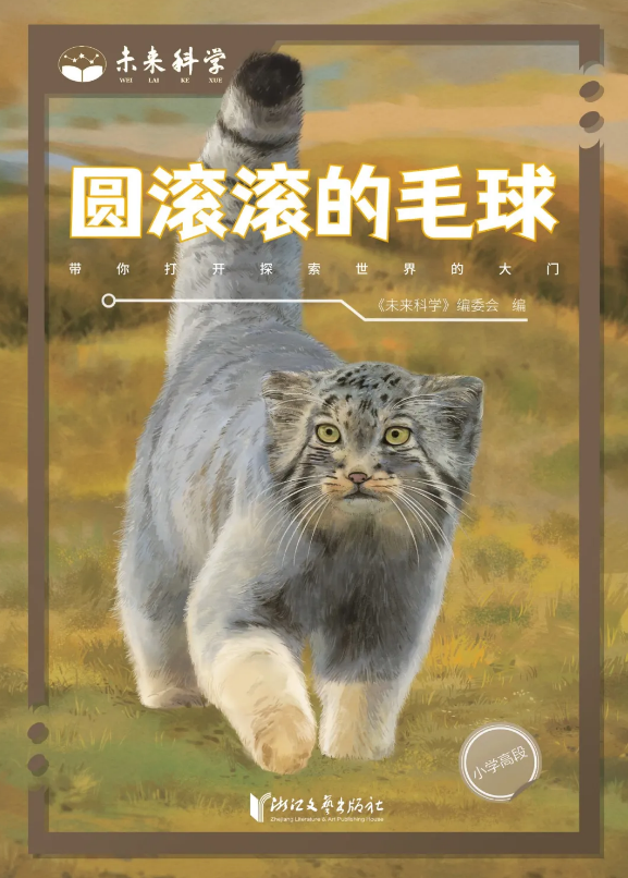 12.png