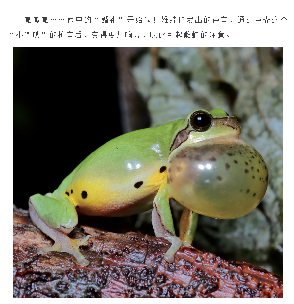 1749539694903575.png 16.png