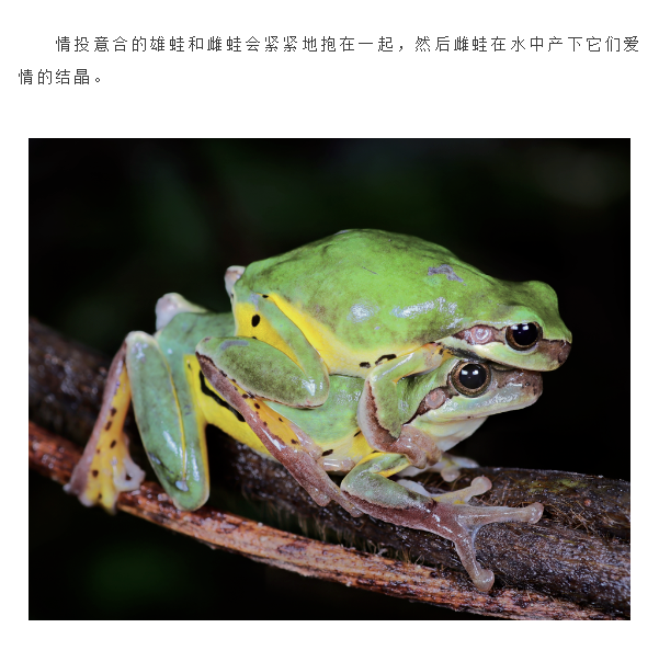1749539745523740.png 18.png