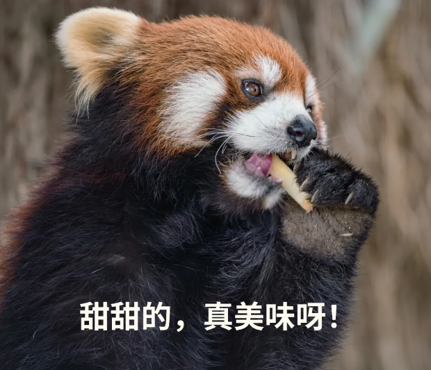 1754891164287547.png 12.png