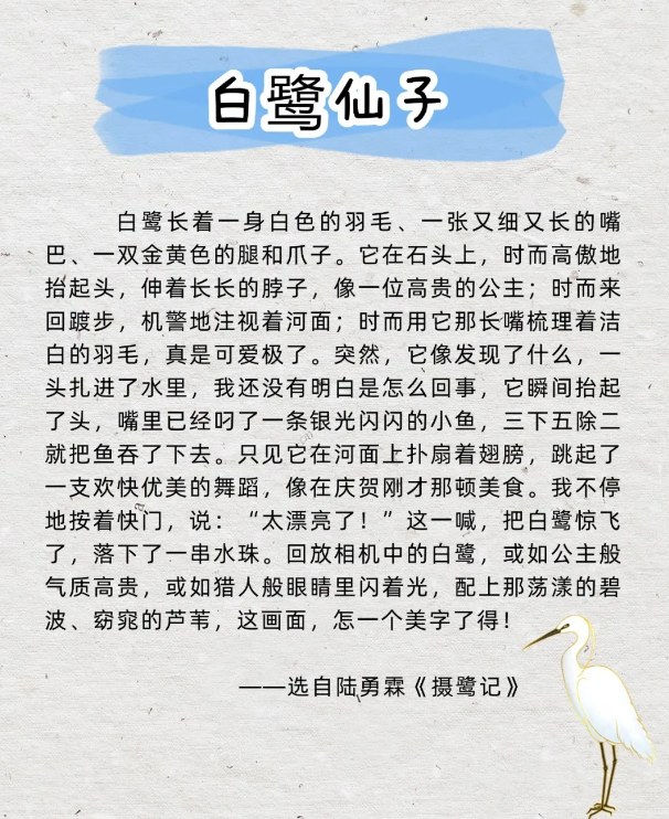 1758870873172963.png 8.png