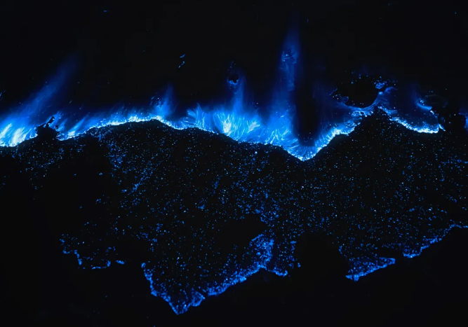 1760171110335509.png 11.png