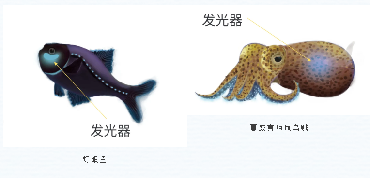 1760171128462079.png 13.png