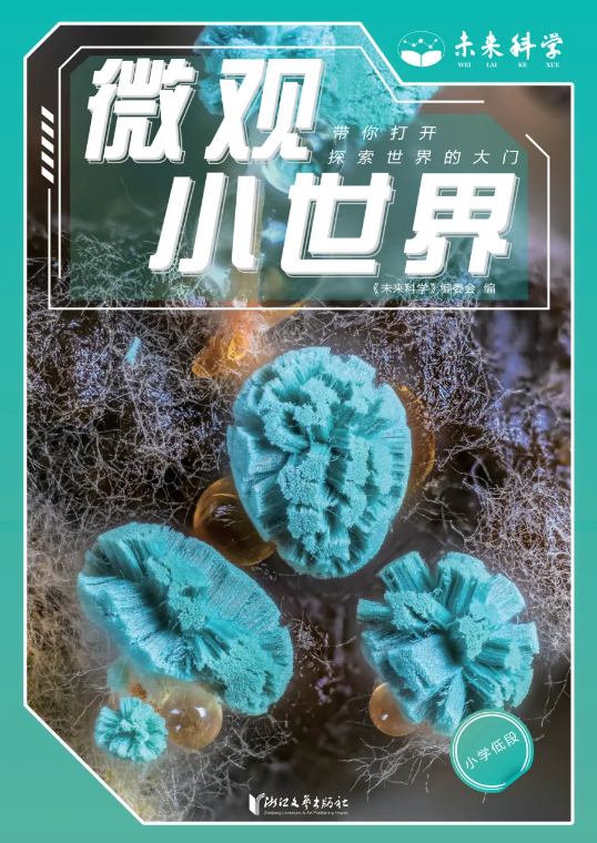 1760942903406593.png 8.png