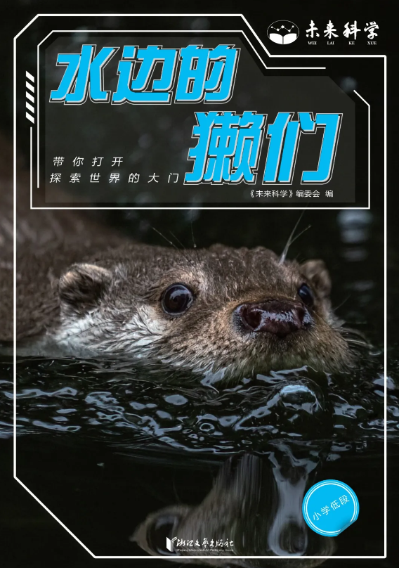 13.png