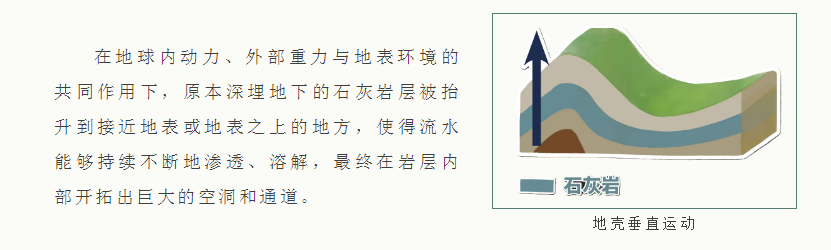14.png