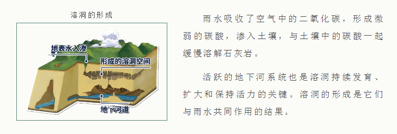 15.png