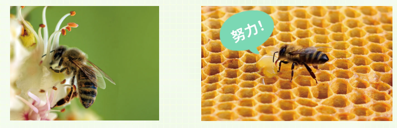 1776154752760484.png 9.png