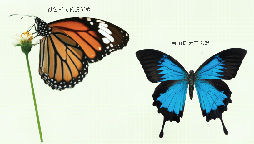 1776154763501501.png 10.png