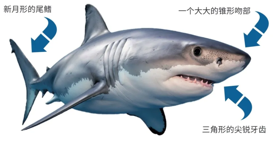 19.png