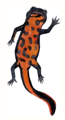 1785054113297525.png 13.png