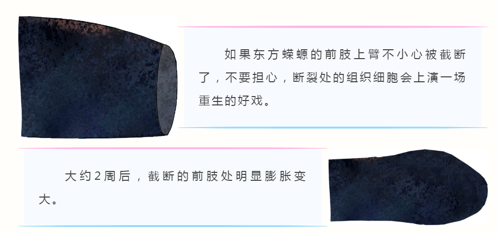 1785054130923723.png 15.png
