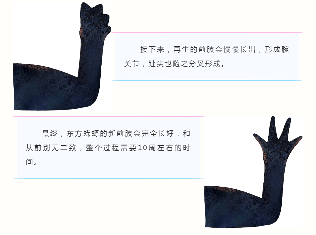 1785054140219203.png 16.png