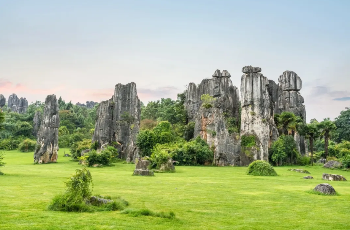 1785764636698227.png 2.png