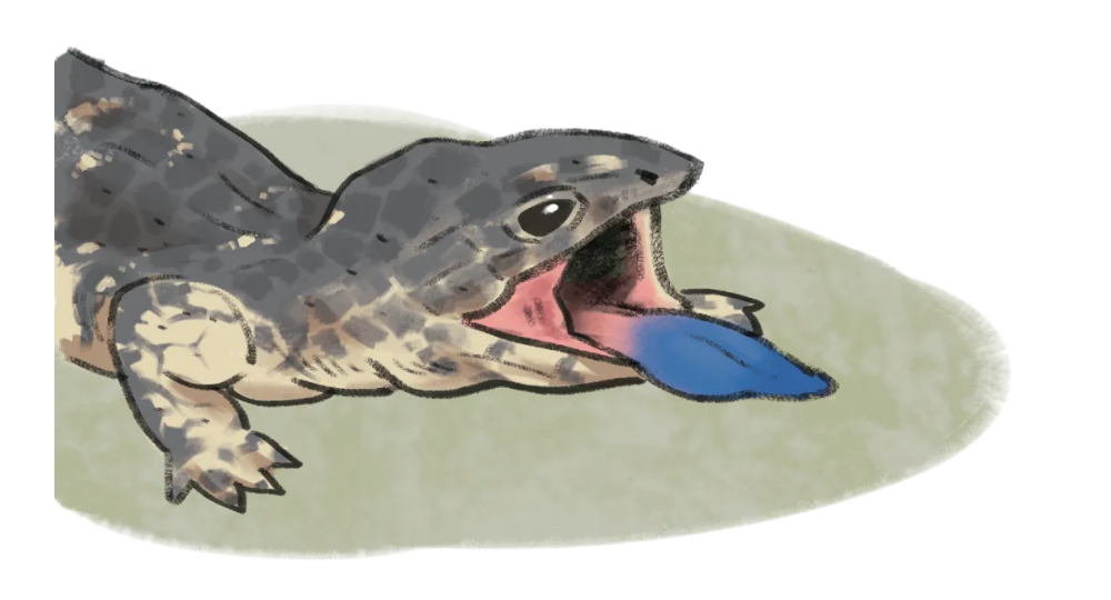 1785767278241057.png 7.png