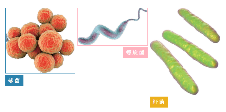 7.png