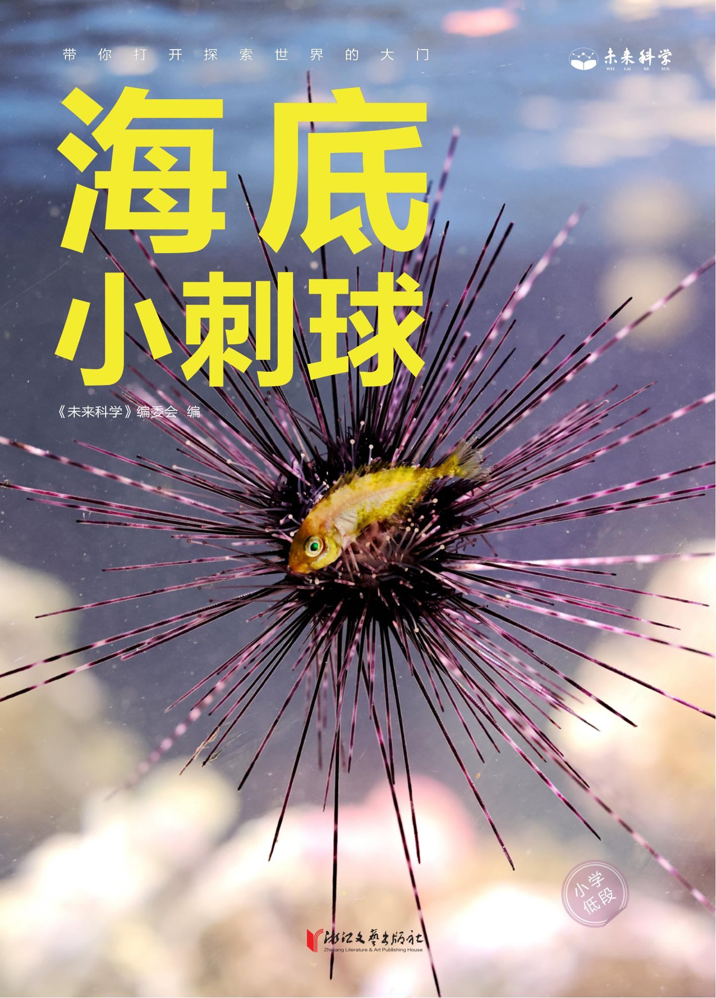 海底小刺球-终版_01.jpg
