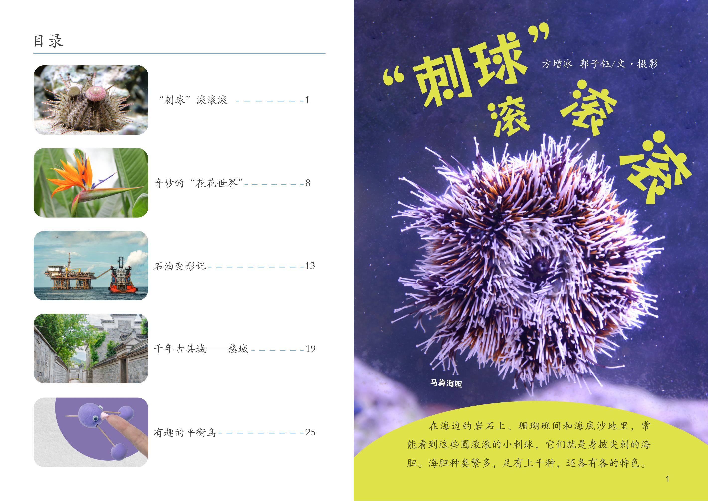 海底小刺球-终版_03.jpg