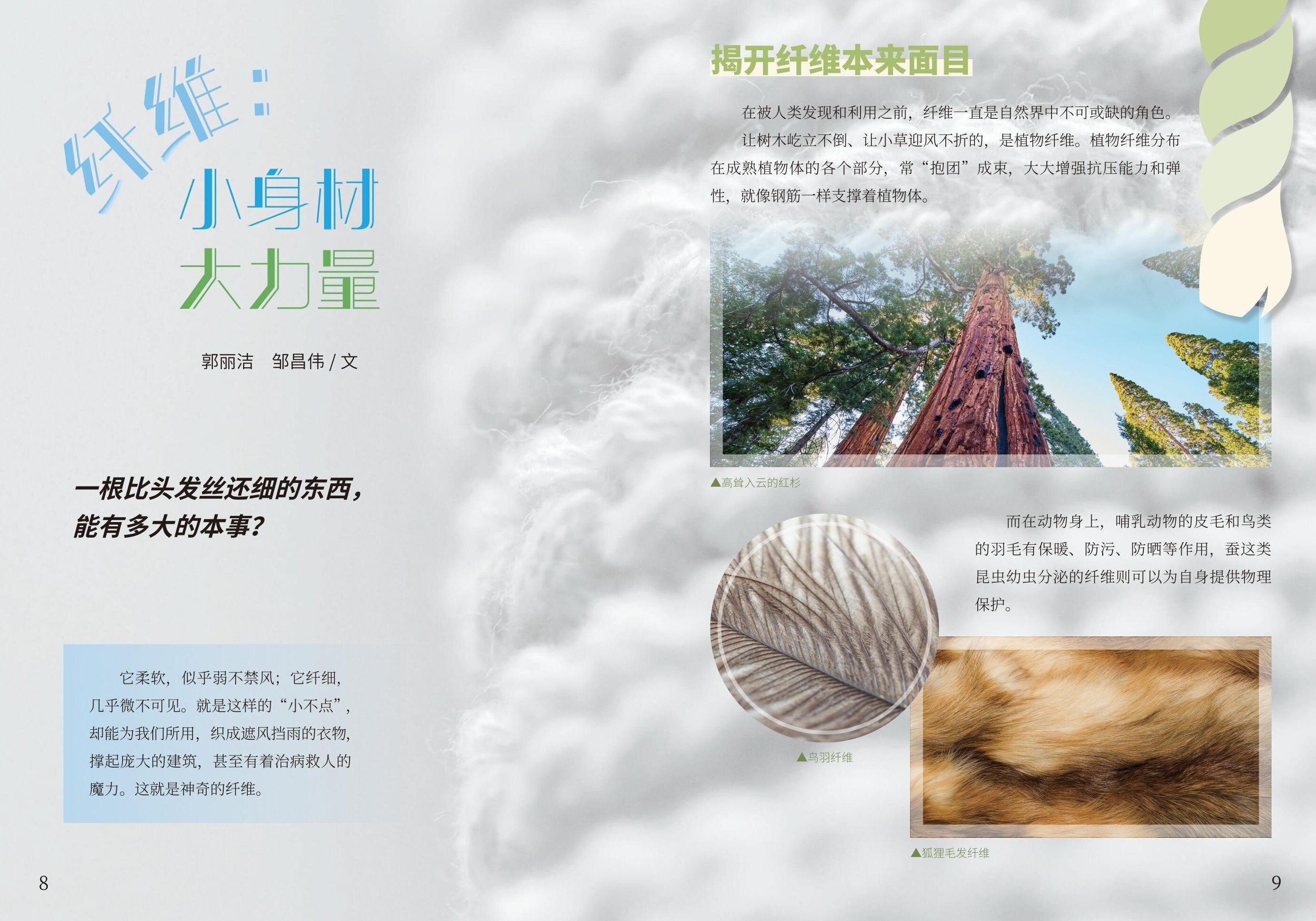 花脸小飞侠_07.jpg
